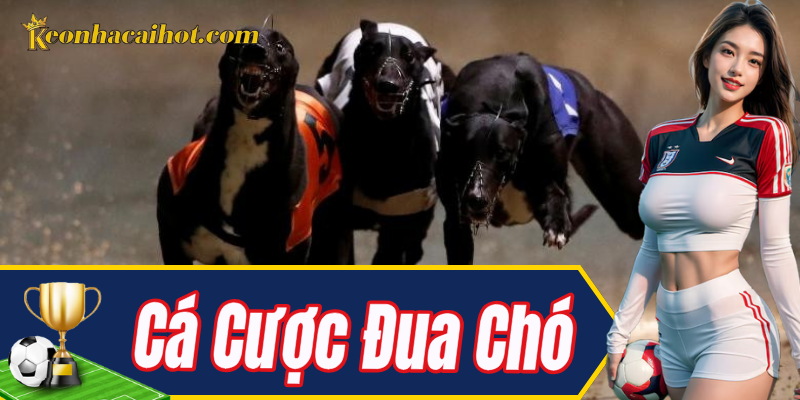 Tổng quan Cá Cược Đua Chó cho người mới bắt đầu
