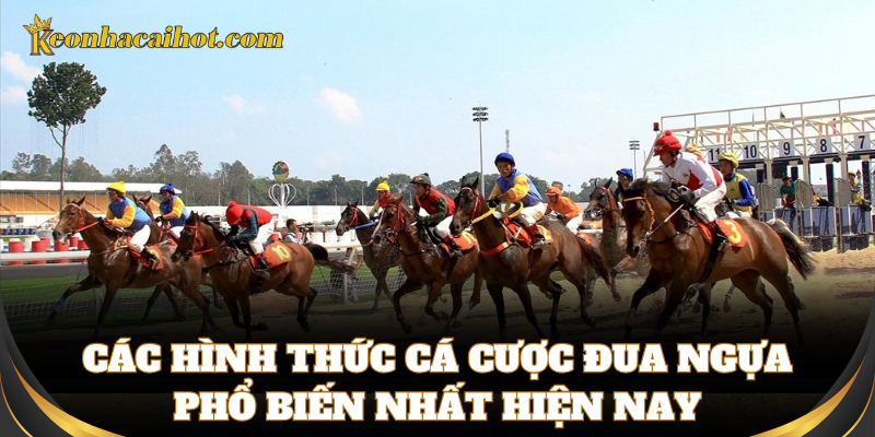 Các loại kèo phổ biến trong cá cược đua ngựa