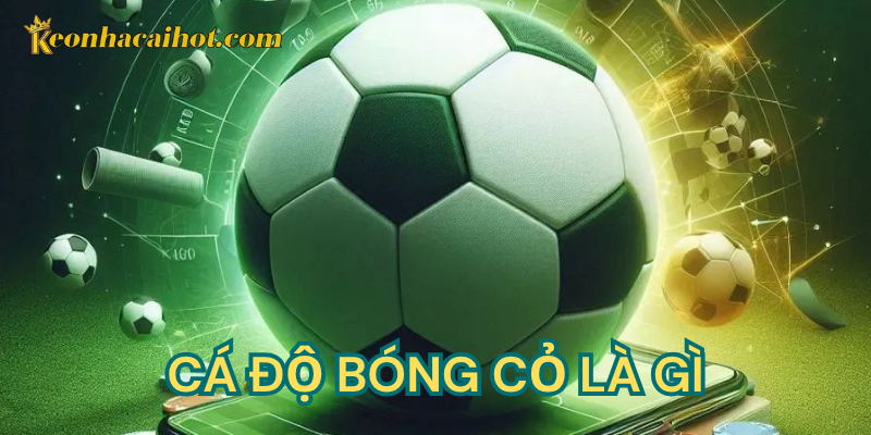 Cá độ bóng cỏ là gì kèo nhà cái