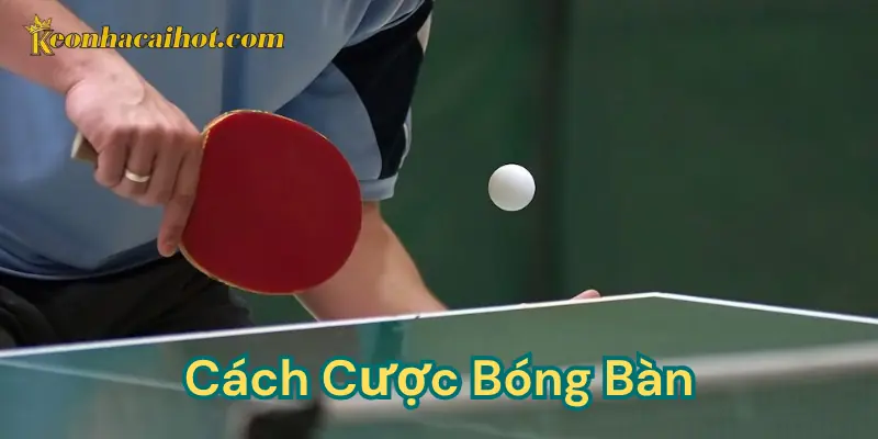Cách cược bóng bàn - Kèo nhà cái