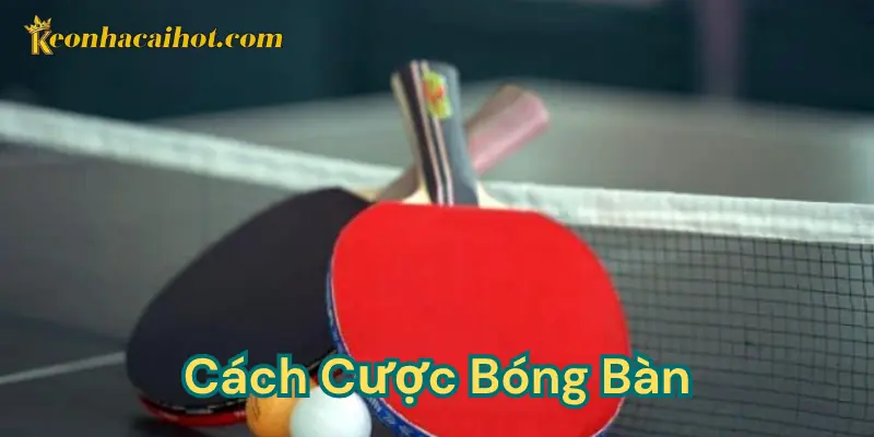 Chiến lược hay cho newbie